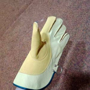 Falconry Gloves
