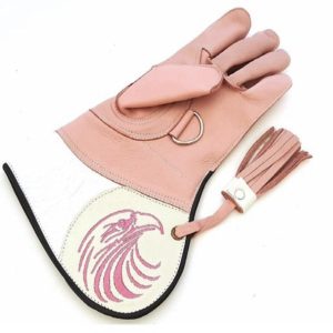 Falconry Gloves