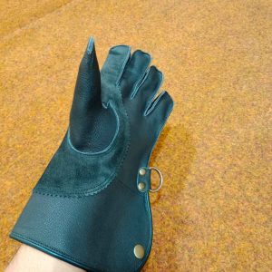Falconry Gloves