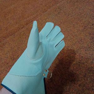 Falconry Gloves